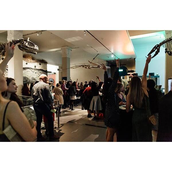 Origins Gallery
