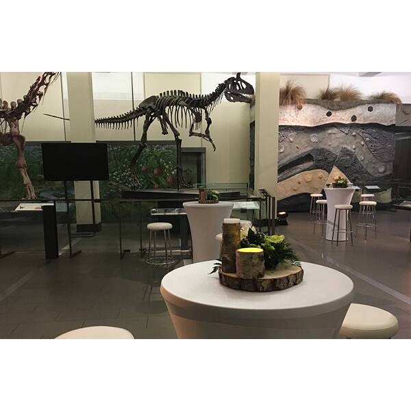 Origins Gallery